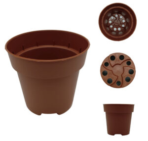 Small 5.5 and 8.5 Round Plastic Pots for Cactus and Succulents